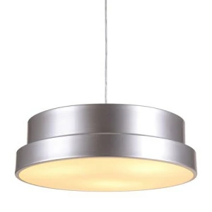 Niemi- Kattovalaisin, Hopea 1 Niemi- Kattovalaisin, Hopea