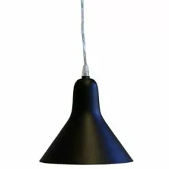 Paju- Kattovalaisin, Musta.